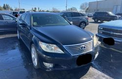 Lexus Vehiculos salvage en venta: 2010 Lexus LS 460L