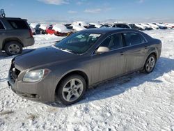 Chevrolet salvage cars for sale: 2010 Chevrolet Malibu 1LT