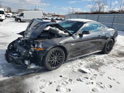 Salvage cars for sale at Marlboro, NY auction: 2023 Ford Mustang GT