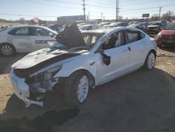 Salvage cars for sale at Colorado Springs, CO auction: 2019 Tesla Model 3