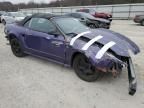 1999 Ford Mustang Cobra SVT