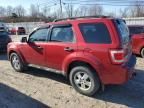 2011 Ford Escape XLS