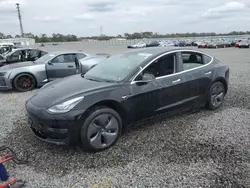 Salvage cars for sale at Riverview, FL auction: 2019 Tesla Model 3