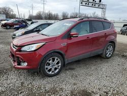 Carros salvage a la venta en subasta: 2013 Ford Escape SEL