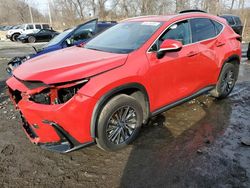 Salvage cars for sale at Marlboro, NY auction: 2024 Lexus NX 350 Base