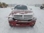 2000 Dodge Dakota