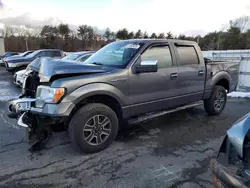 Ford salvage cars for sale: 2013 Ford F150 Supercrew