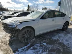 Cadillac ct5 salvage cars for sale: 2023 Cadillac CT5-V