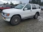 1996 Nissan Pathfinder LE