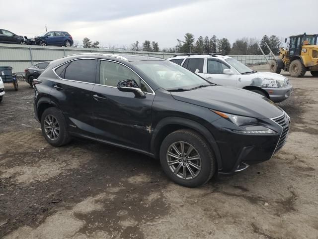 2019 Lexus NX 300H