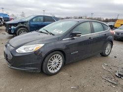 Salvage cars for sale at Indianapolis, IN auction: 2013 Ford Focus BEV