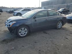 Nissan Altima Vehiculos salvage en venta: 2011 Nissan Altima Base