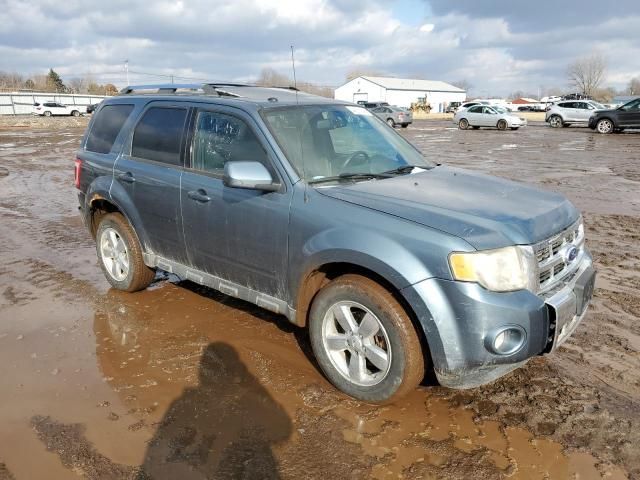 2012 Ford Escape Limited