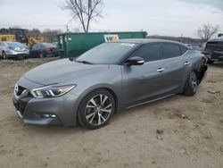 Salvage cars for sale at Baltimore, MD auction: 2016 Nissan Maxima 3.5S