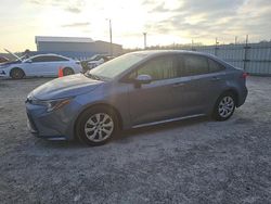 Clean Title Cars for sale at auction: 2025 Toyota Corolla LE