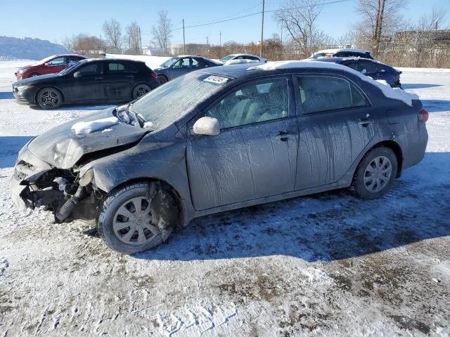 2011 Toyota Corolla Base