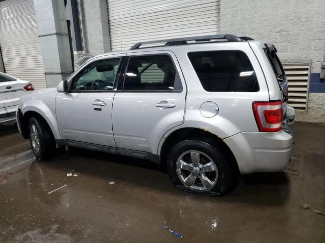 2010 Ford Escape Limited