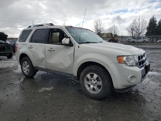 2011 Ford Escape Limited