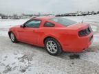 2013 Ford Mustang