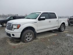 Salvage cars for sale at Lumberton, NC auction: 2011 Ford F150 Supercrew