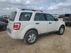 2012 Ford Escape XLS