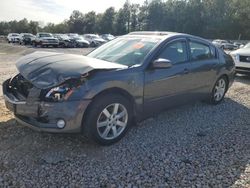 Nissan salvage cars for sale: 2005 Nissan Maxima SE