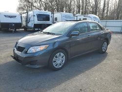 Salvage cars for sale at Glassboro, NJ auction: 2010 Toyota Corolla Base