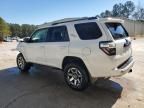 2024 Toyota 4runner SR5/SR5 Premium