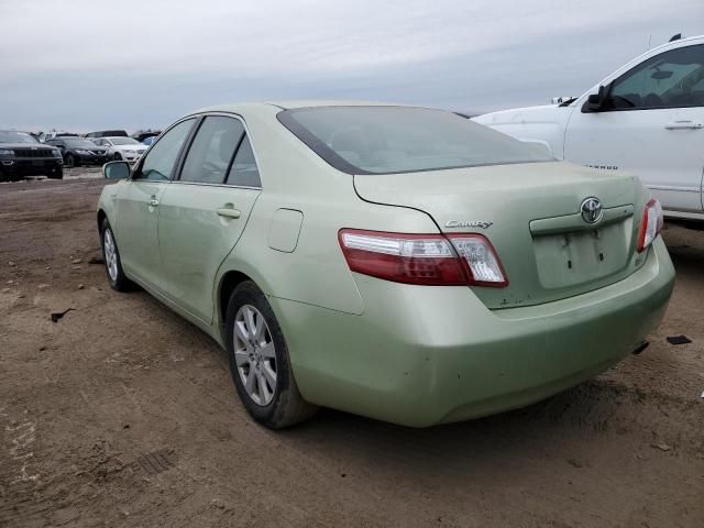 2008 Toyota Camry Hybrid