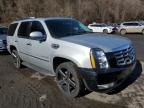 2010 Cadillac Escalade Luxury