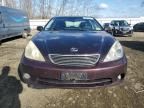 2005 Lexus ES 330