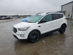 Salvage cars for sale at Memphis, TN auction: 2019 Ford Escape SE