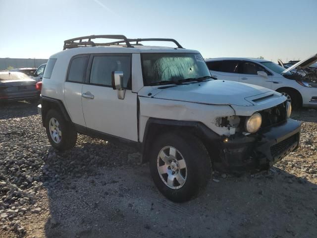 2010 Toyota FJ Cruiser