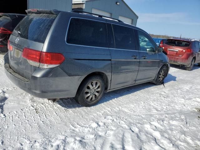 2010 Honda Odyssey EXL