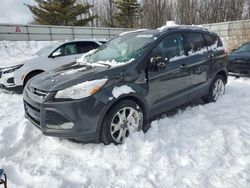 Salvage cars for sale at Davison, MI auction: 2016 Ford Escape Titanium