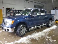 Salvage trucks for sale at Candia, NH auction: 2012 Ford F150 Supercrew