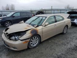 Salvage cars for sale at Arlington, WA auction: 2003 Lexus ES 300