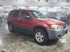 2005 Ford Escape XLT