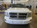 2008 Dodge Dakota Quad SLT