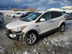 2014 Ford Escape SE en venta en Albany, NY