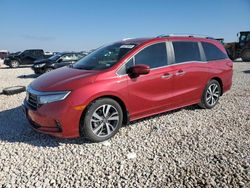 Carros salvage sin ofertas aún a la venta en subasta: 2024 Honda Odyssey Touring