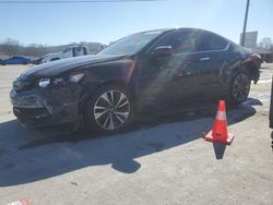 Salvage cars for sale at Lebanon, TN auction: 2016 Honda Accord EXL