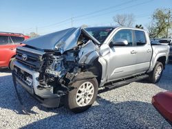 Salvage cars for sale at Riverview, FL auction: 2024 Toyota Tacoma Double Cab