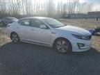 2015 KIA Optima Hybrid