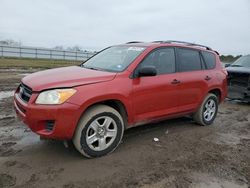 Salvage cars for sale at Houston, TX auction: 2010 Toyota Rav4