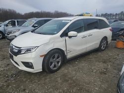 Salvage cars for sale at Windsor, NJ auction: 2019 Honda Odyssey EXL