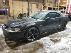 2000 Ford Mustang GT en venta en Rapid City, SD