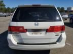 2010 Honda Odyssey EXL