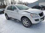 2007 Mercedes-Benz ML 350