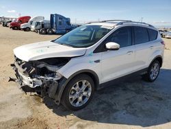 Salvage cars for sale at Sun Valley, CA auction: 2014 Ford Escape Titanium